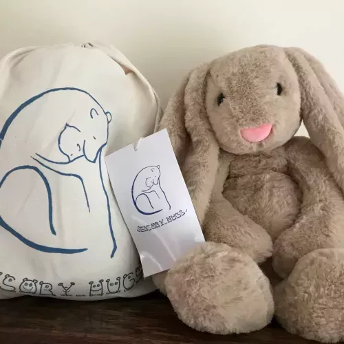 Weighted Sensory Hugs bunny bear comes in a bag